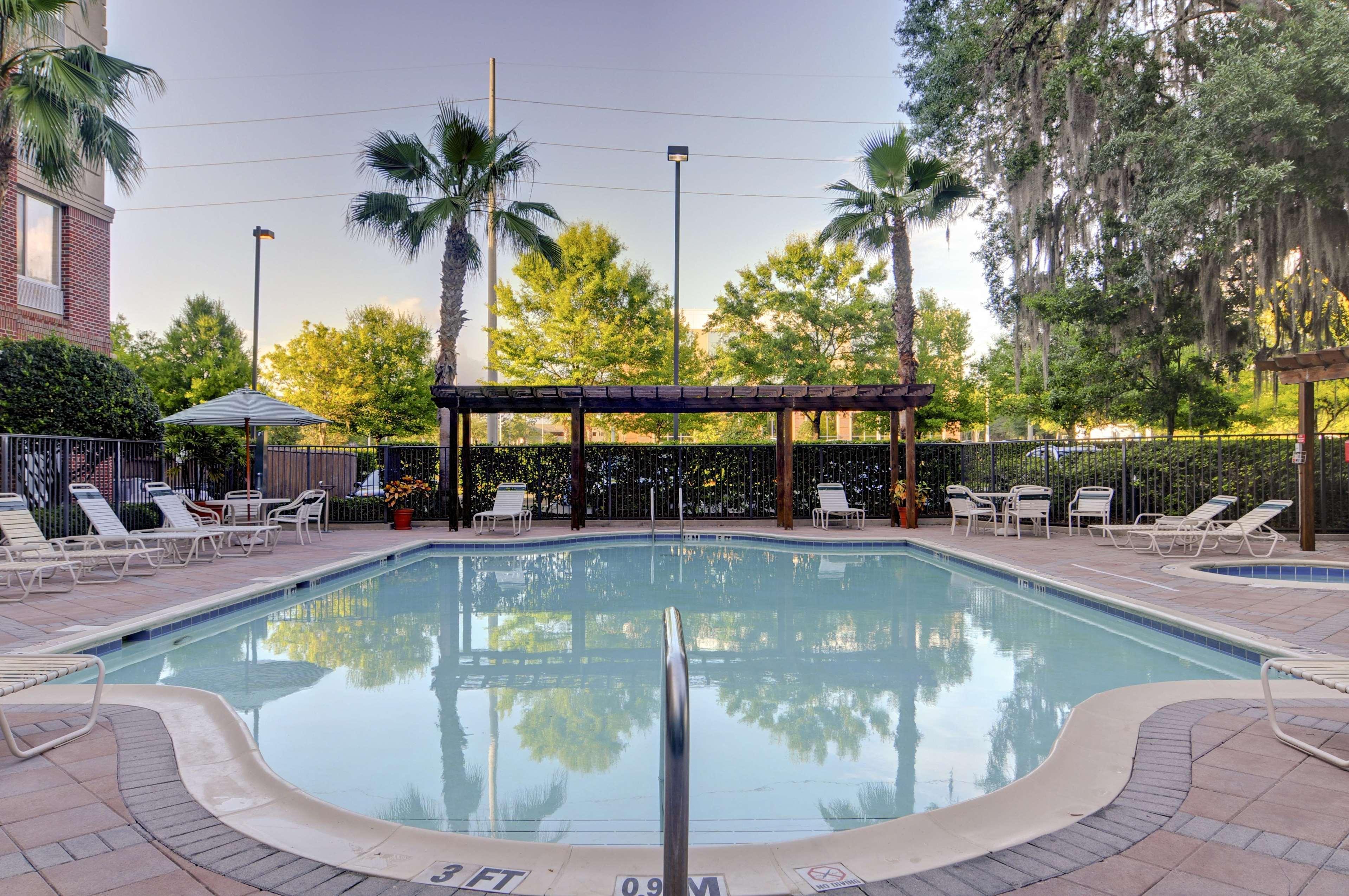 Hilton Garden Inn Tampa East Brandon Mango Esterno foto