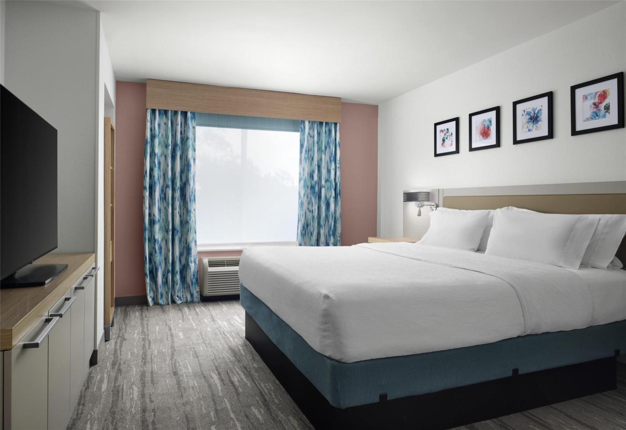 Hilton Garden Inn Tampa East Brandon Mango Esterno foto