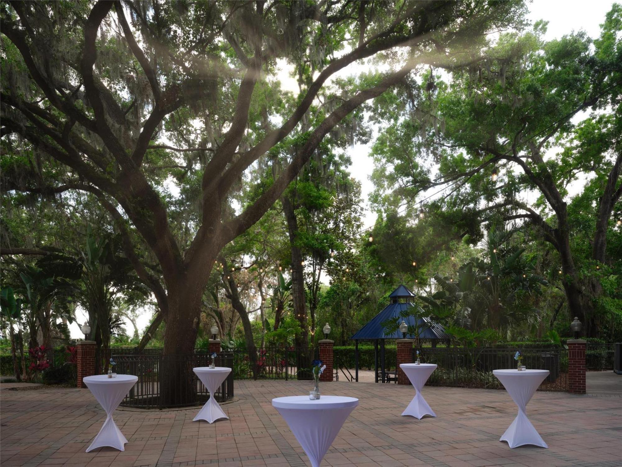 Hilton Garden Inn Tampa East Brandon Mango Esterno foto