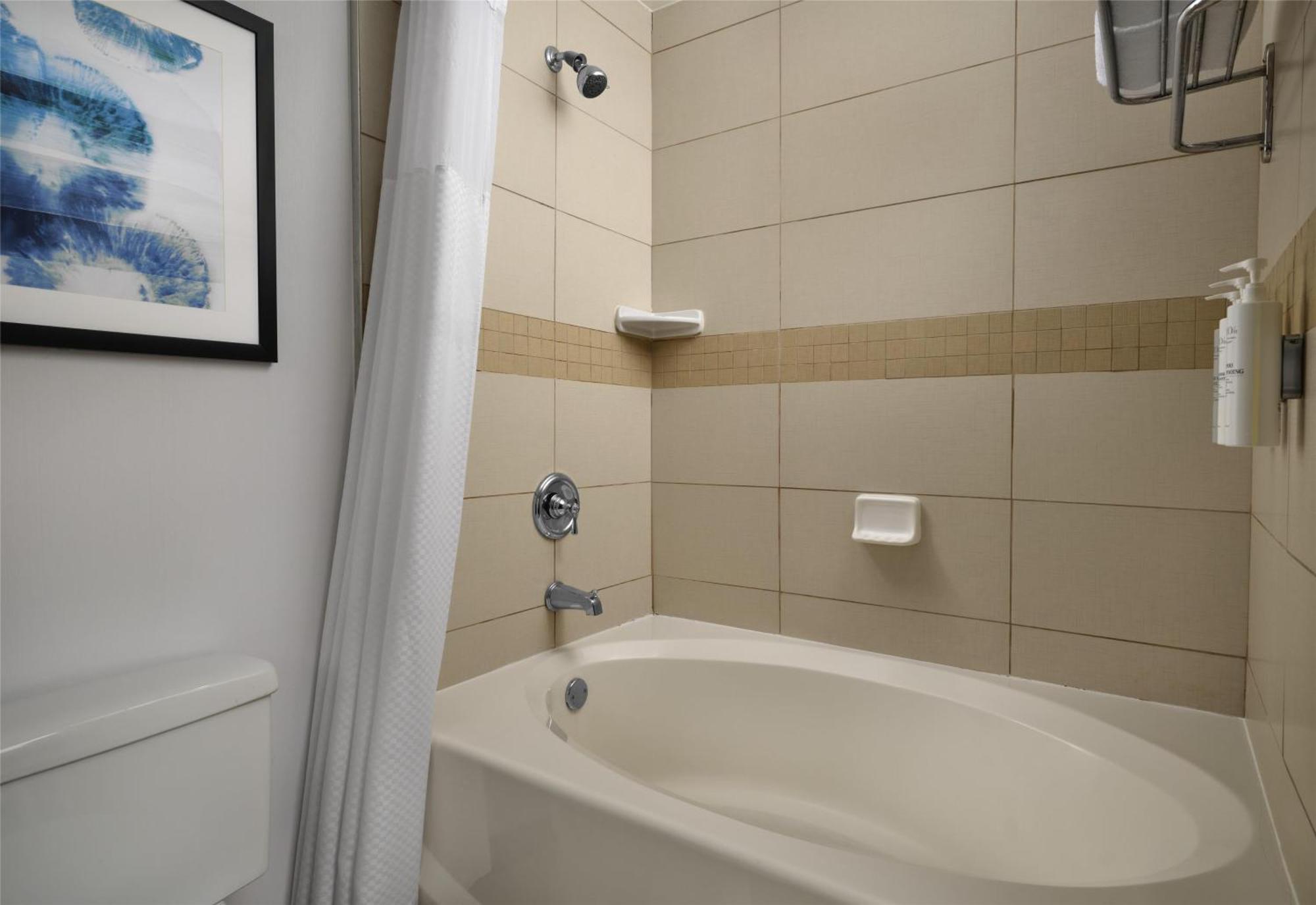 Hilton Garden Inn Tampa East Brandon Mango Esterno foto